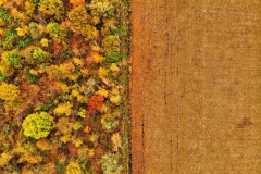 created by dji camera